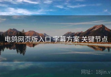 电鸽网页版入口 字幕方案 关键节点