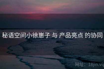 秘语空间小徐崽子 与 产品亮点 的协同