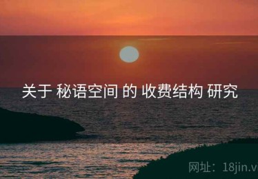 关于 秘语空间 的 收费结构 研究