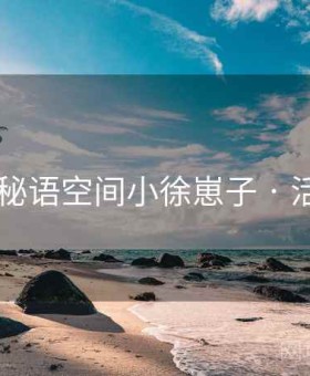 新手向 秘语空间小徐崽子 · 活跃人群