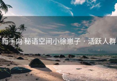 新手向 秘语空间小徐崽子 · 活跃人群