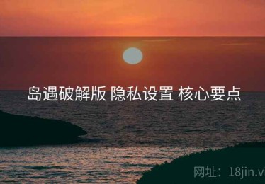 岛遇破解版 隐私设置 核心要点