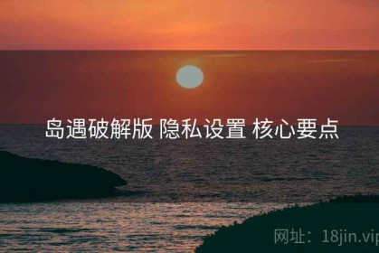 岛遇破解版 隐私设置 核心要点
