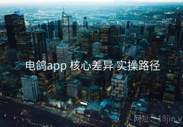 电鸽app 核心差异 实操路径