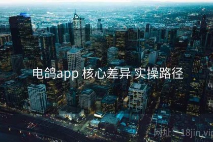 电鸽app 核心差异 实操路径