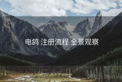 电鸽 注册流程 全景观察