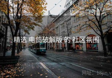 精选 电鸽破解版 的 社区氛围