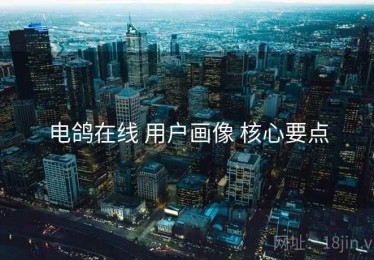 电鸽在线 用户画像 核心要点