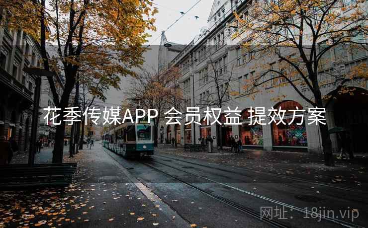 花季传媒APP 会员权益 提效方案