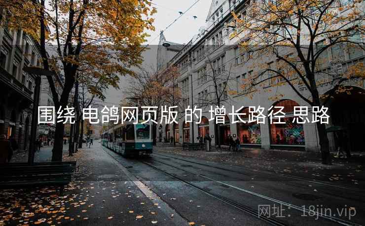 围绕 电鸽网页版 的 增长路径 思路