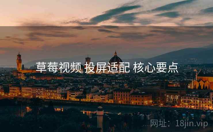 草莓视频 投屏适配 核心要点