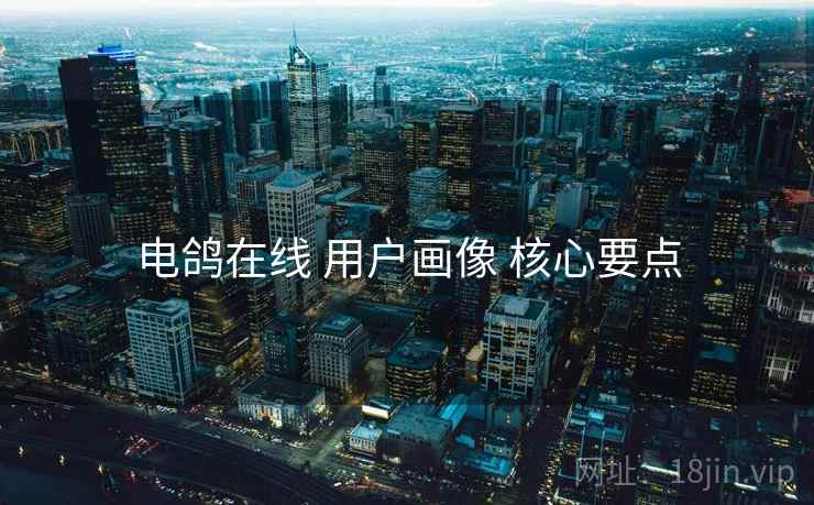 电鸽在线 用户画像 核心要点