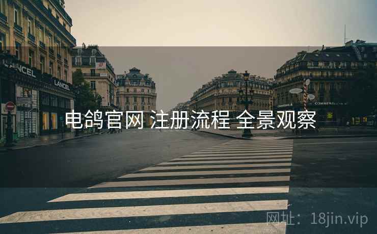 电鸽官网 注册流程 全景观察