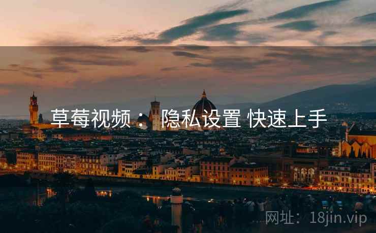 草莓视频 ： 隐私设置 快速上手