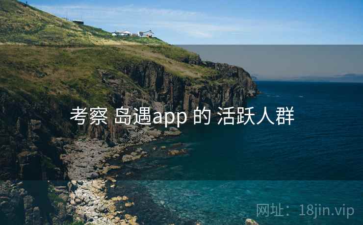 考察 岛遇app 的 活跃人群