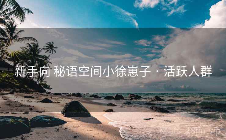新手向 秘语空间小徐崽子 · 活跃人群