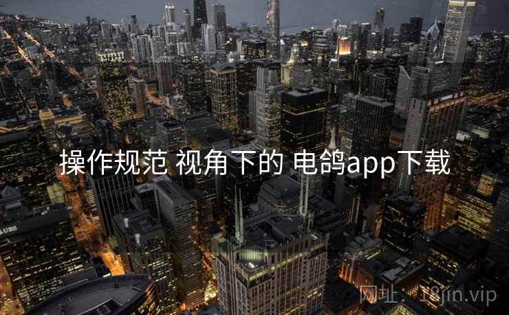 操作规范 视角下的 电鸽app下载