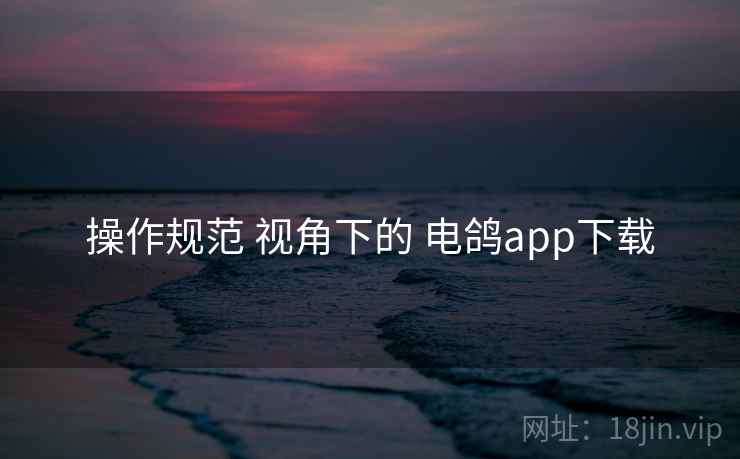 操作规范 视角下的 电鸽app下载