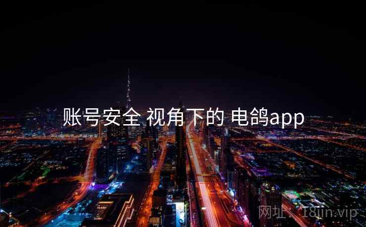账号安全 视角下的 电鸽app