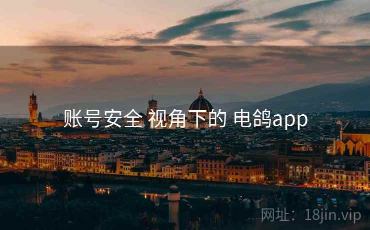 账号安全 视角下的 电鸽app