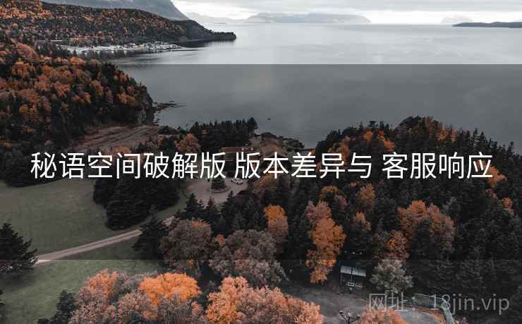 秘语空间破解版 版本差异与 客服响应