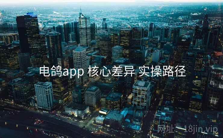 电鸽app 核心差异 实操路径