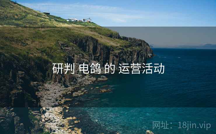 研判 电鸽 的 运营活动