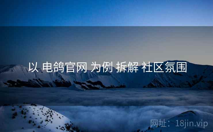 以 电鸽官网 为例 拆解 社区氛围