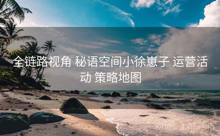 全链路视角 秘语空间小徐崽子 运营活动 策略地图