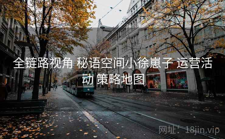 全链路视角 秘语空间小徐崽子 运营活动 策略地图