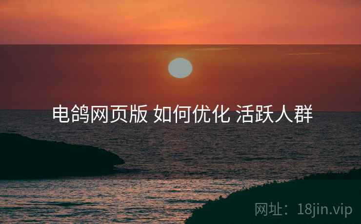 电鸽网页版 如何优化 活跃人群