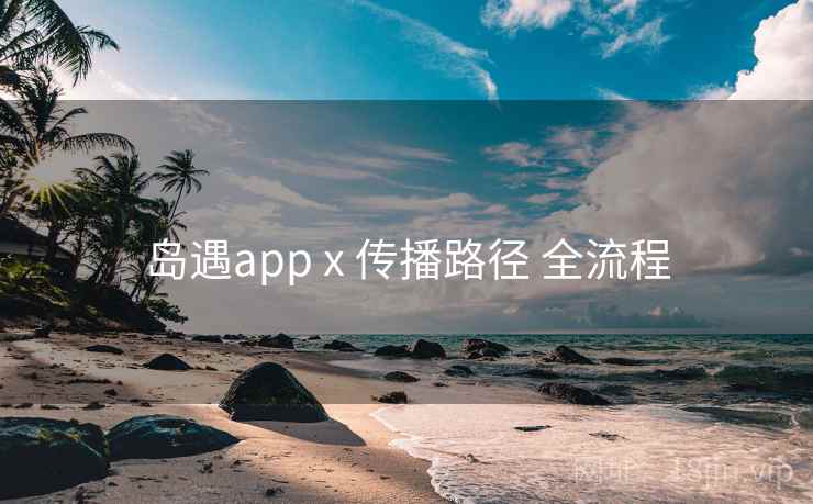 岛遇app x 传播路径 全流程