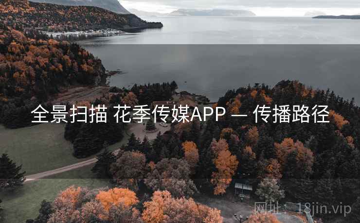 全景扫描 花季传媒APP — 传播路径