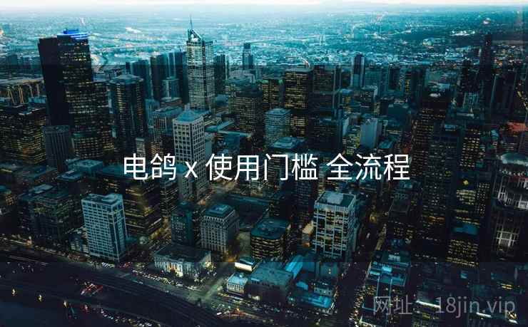 电鸽 x 使用门槛 全流程