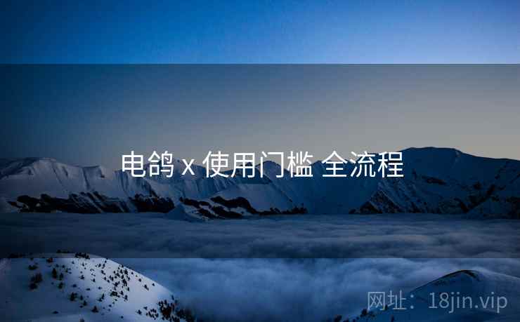 电鸽 x 使用门槛 全流程