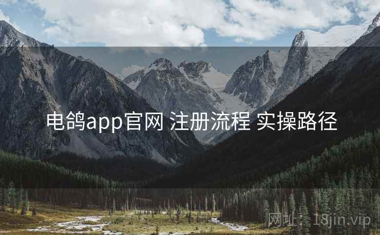 电鸽app官网 注册流程 实操路径