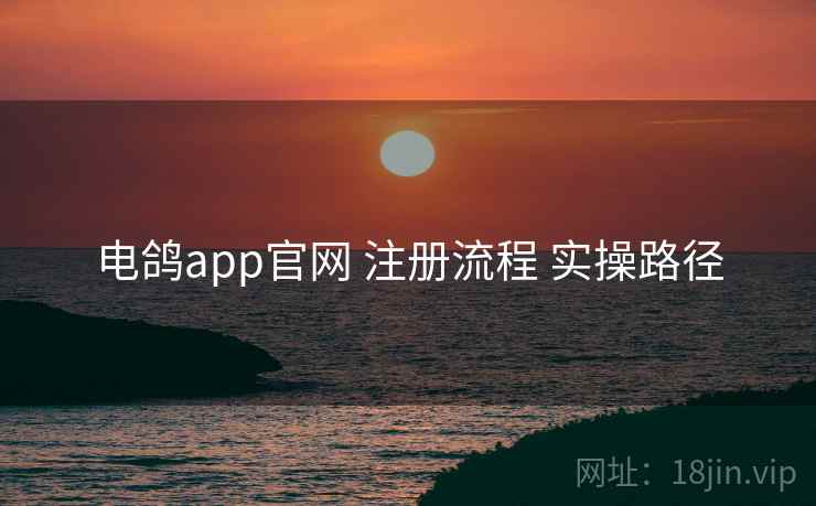 电鸽app官网 注册流程 实操路径