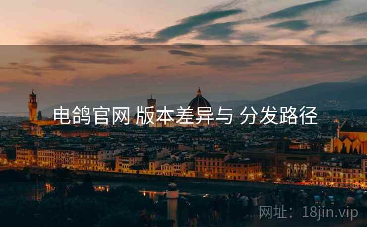 电鸽官网 版本差异与 分发路径