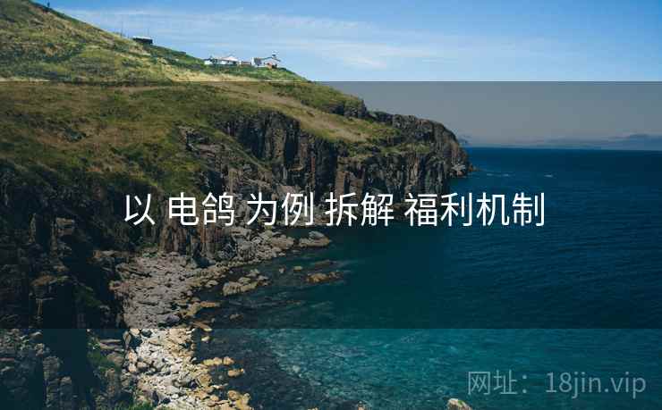 以 电鸽 为例 拆解 福利机制
