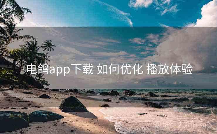 电鸽app下载 如何优化 播放体验