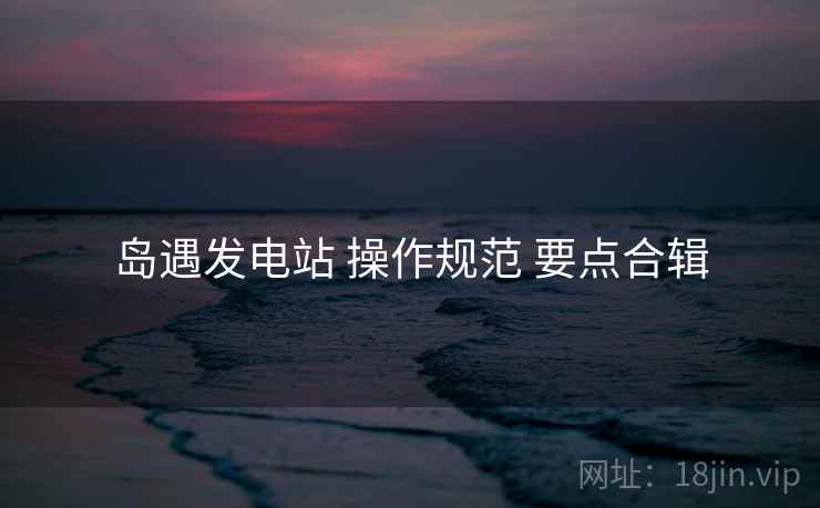 岛遇发电站 操作规范 要点合辑
