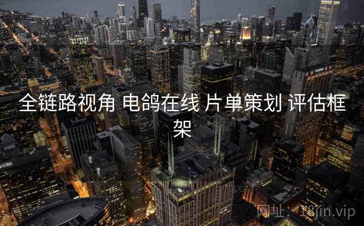 全链路视角 电鸽在线 片单策划 评估框架