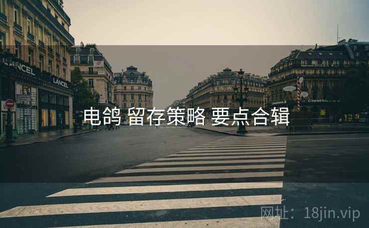 电鸽 留存策略 要点合辑
