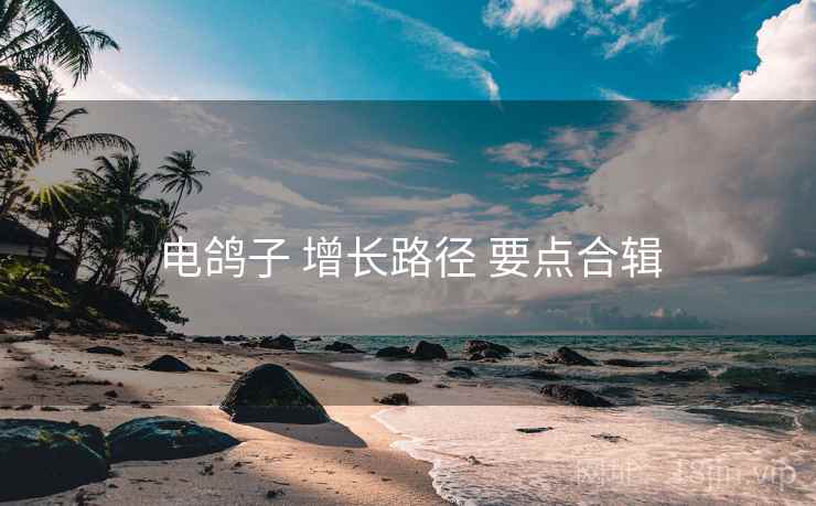 电鸽子 增长路径 要点合辑