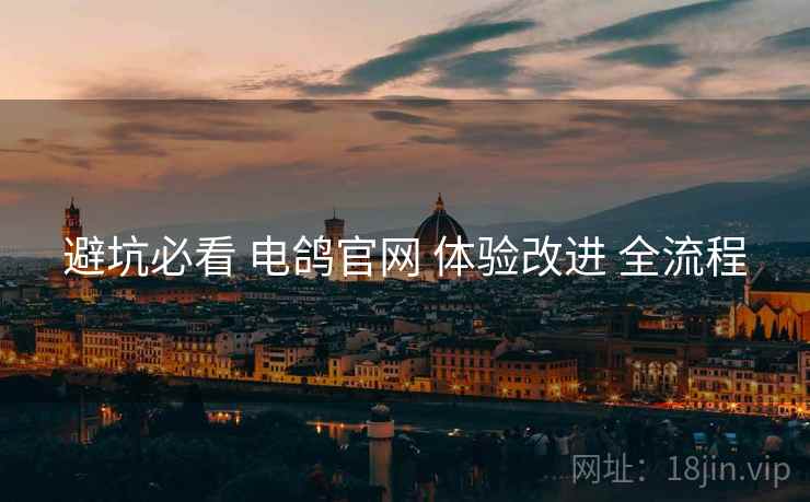 避坑必看 电鸽官网 体验改进 全流程