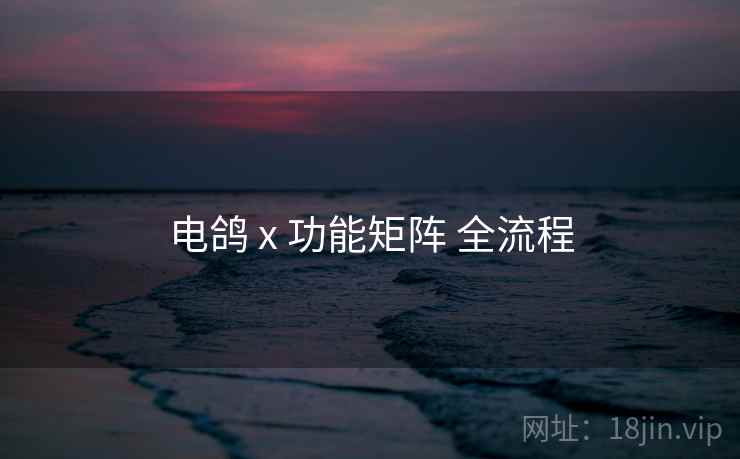 电鸽 x 功能矩阵 全流程