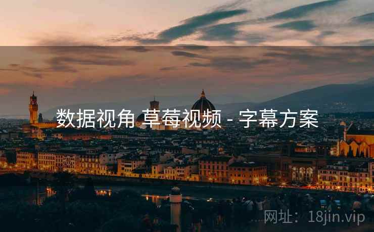 数据视角 草莓视频 - 字幕方案