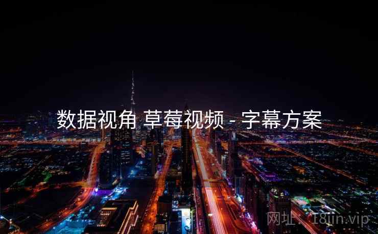 数据视角 草莓视频 - 字幕方案