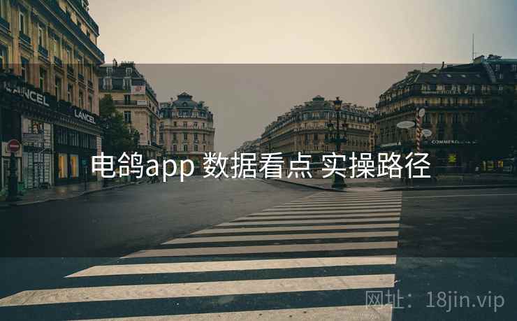 电鸽app 数据看点 实操路径
