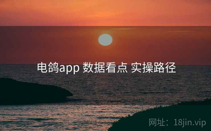 电鸽app 数据看点 实操路径